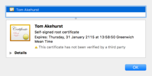 WireMock's self-signed certificate.